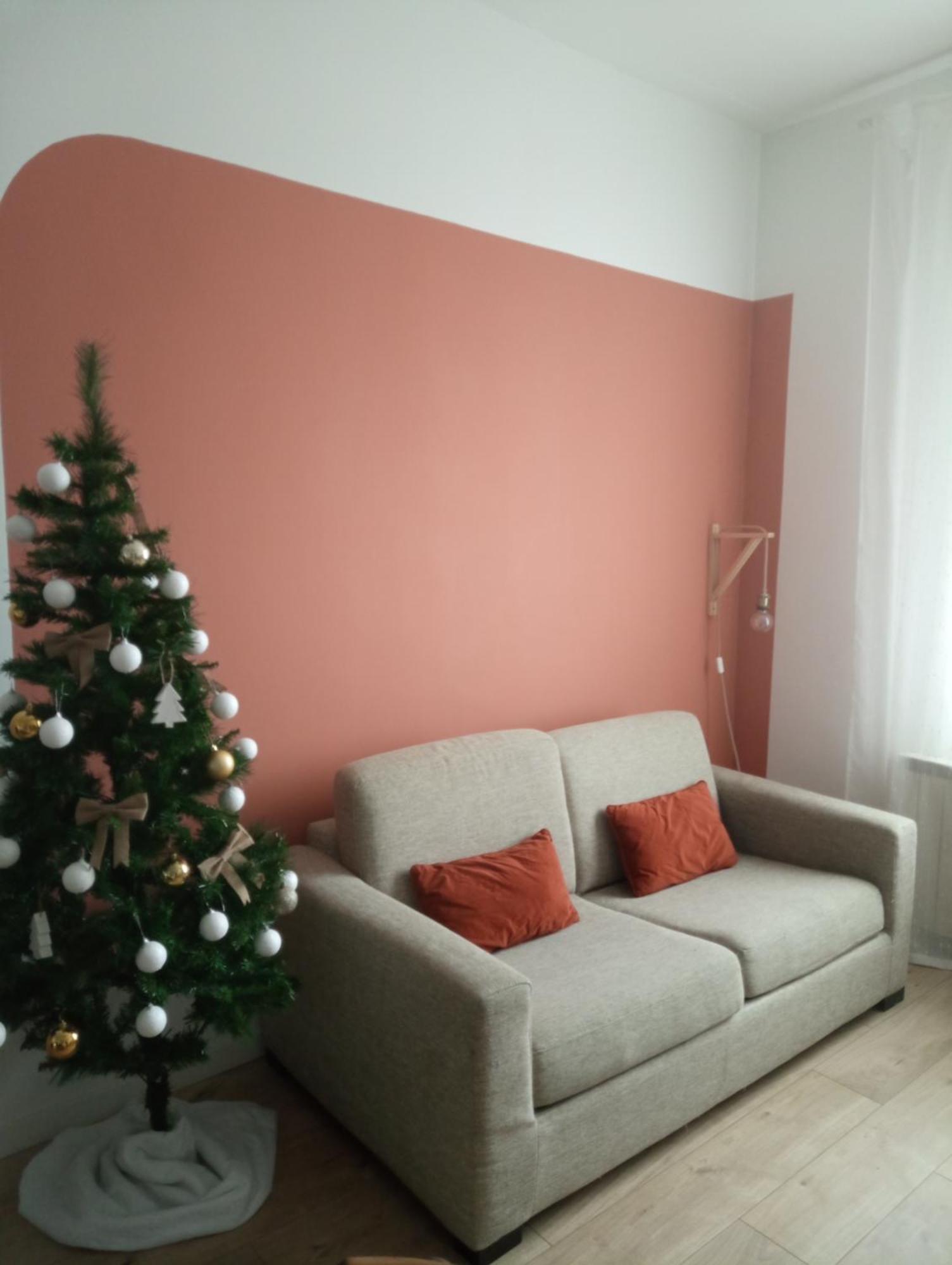 La Maison De Camille Climatisation Parking Prive Wifi Carcassone Exterior photo